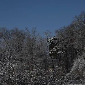 https://lichtenau-bertholdes-traum.com-bavaria.com
